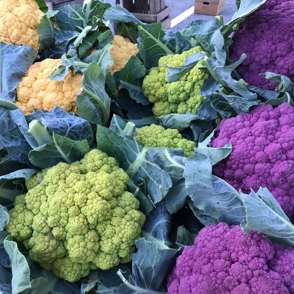 yellow green and purple cauliflowers westminster md farmers market