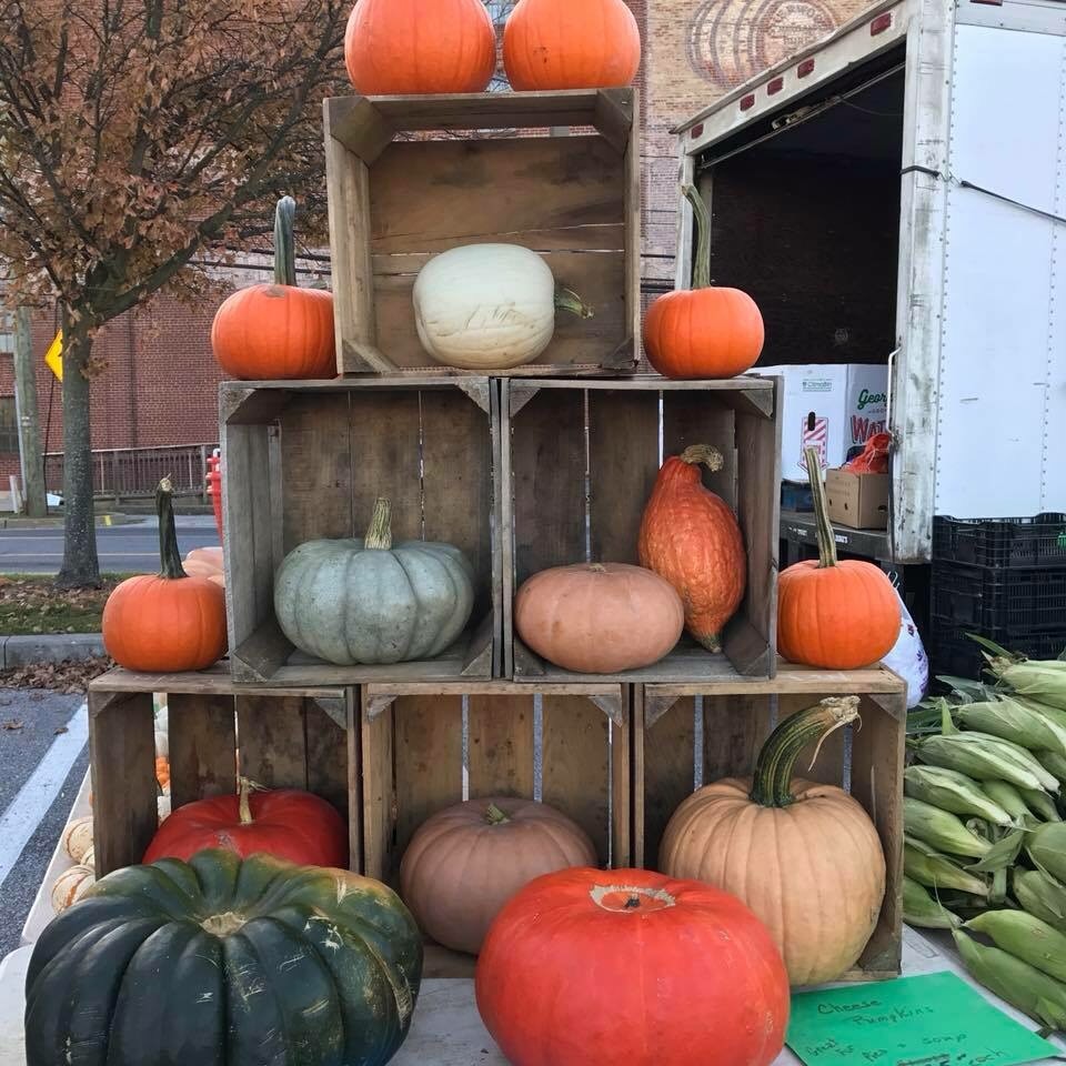 pumpkins displayed in boxes westminster md farmers market