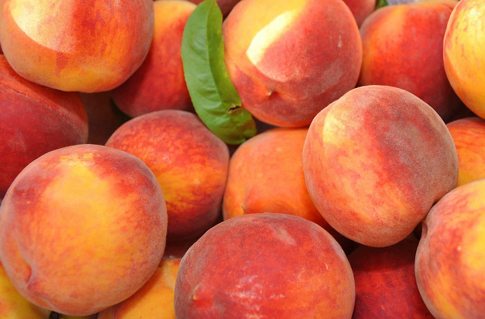 peaches westminster md farmers market